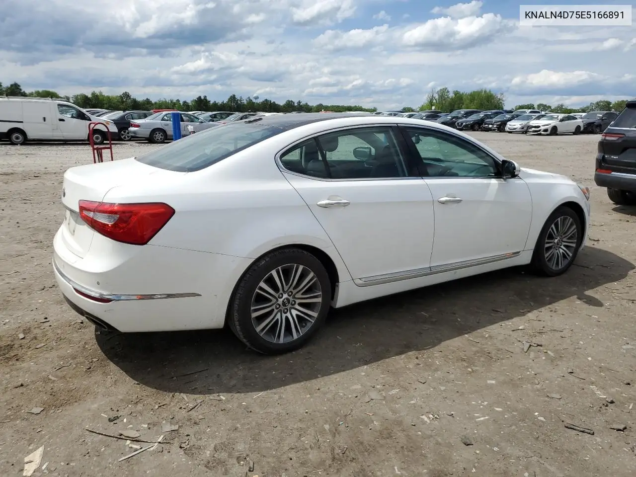 2014 Kia Cadenza Premium VIN: KNALN4D75E5166891 Lot: 55971055