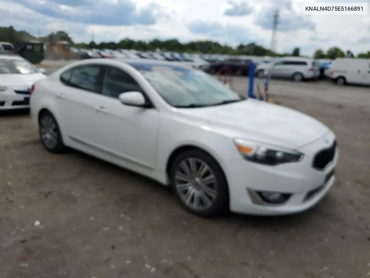 2014 Kia Cadenza Premium VIN: KNALN4D75E5166891 Lot: 55971055