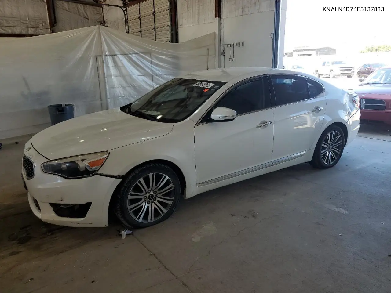 2014 Kia Cadenza Premium VIN: KNALN4D74E5137883 Lot: 55972955