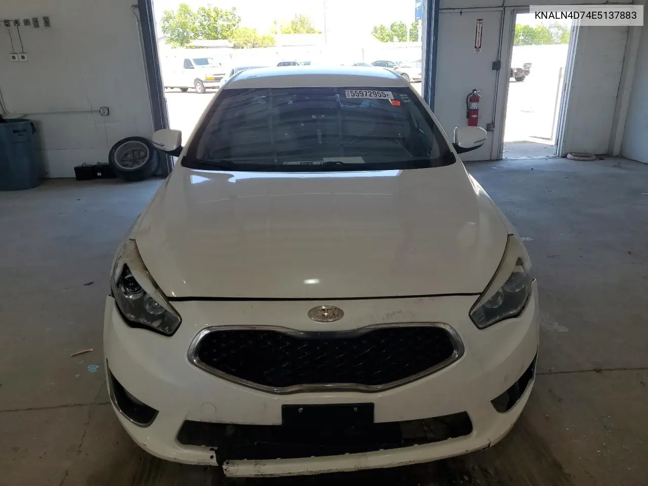 2014 Kia Cadenza Premium VIN: KNALN4D74E5137883 Lot: 55972955