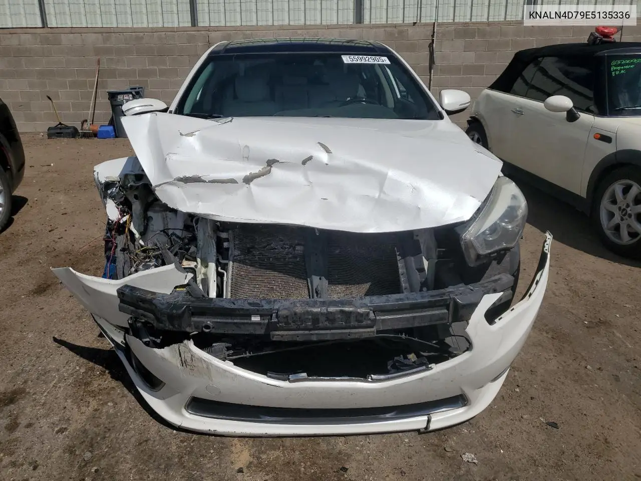2014 Kia Cadenza Premium VIN: KNALN4D79E5135336 Lot: 55992905