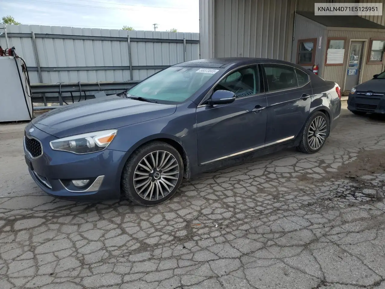 2014 Kia Cadenza Premium VIN: KNALN4D71E5125951 Lot: 56073665