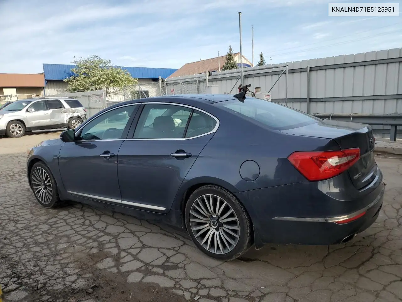 2014 Kia Cadenza Premium VIN: KNALN4D71E5125951 Lot: 56073665