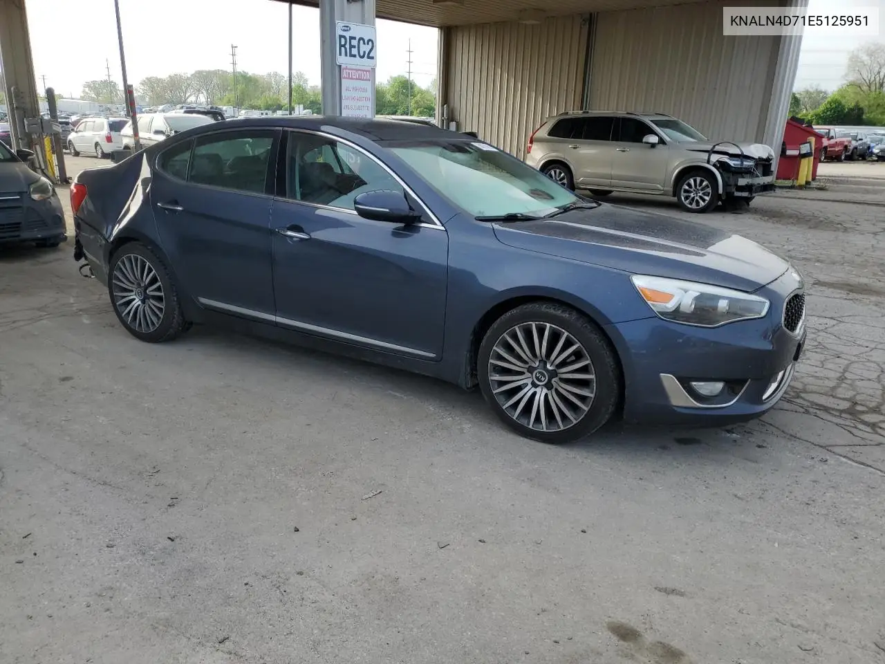 2014 Kia Cadenza Premium VIN: KNALN4D71E5125951 Lot: 56073665