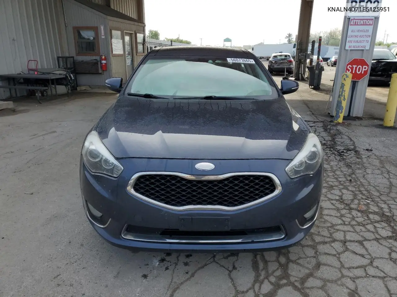 2014 Kia Cadenza Premium VIN: KNALN4D71E5125951 Lot: 56073665