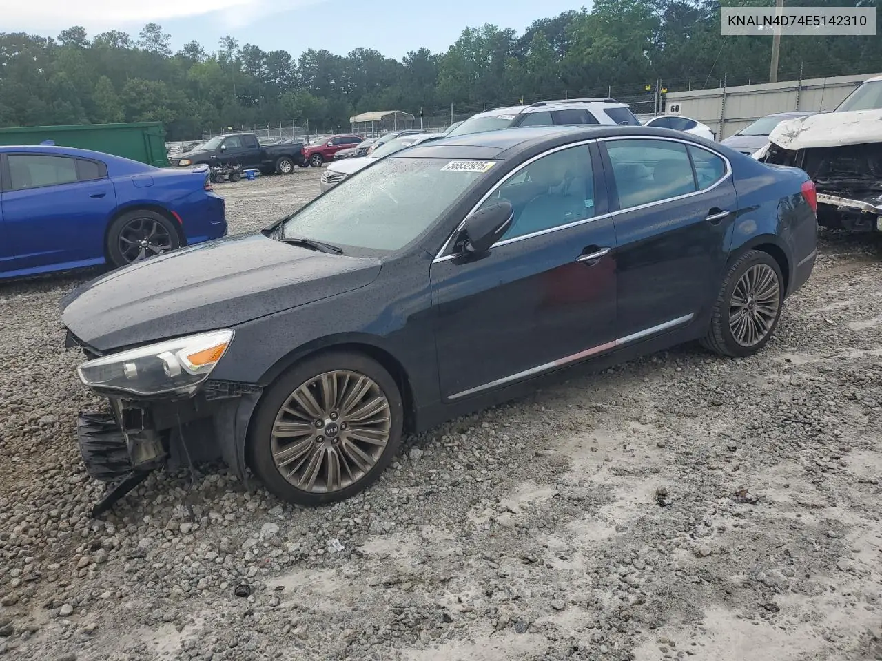 2014 Kia Cadenza Premium VIN: KNALN4D74E5142310 Lot: 56832925