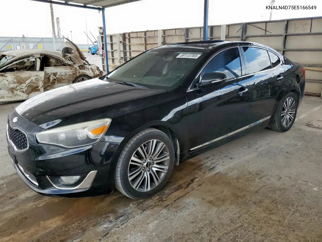 2014 Kia Cadenza Premium VIN: KNALN4D75E5166549 Lot: 59113765