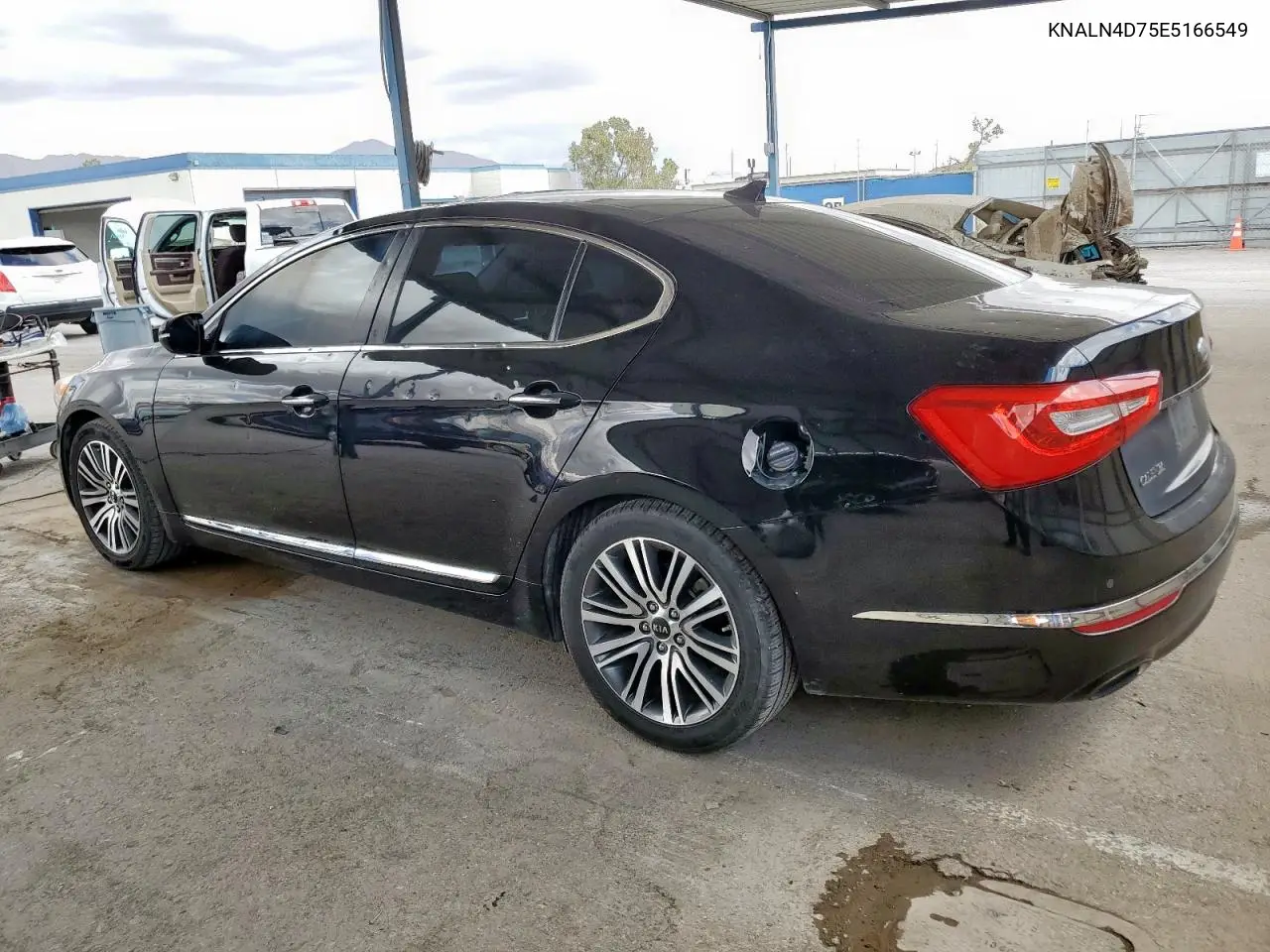 2014 Kia Cadenza Premium VIN: KNALN4D75E5166549 Lot: 59113765