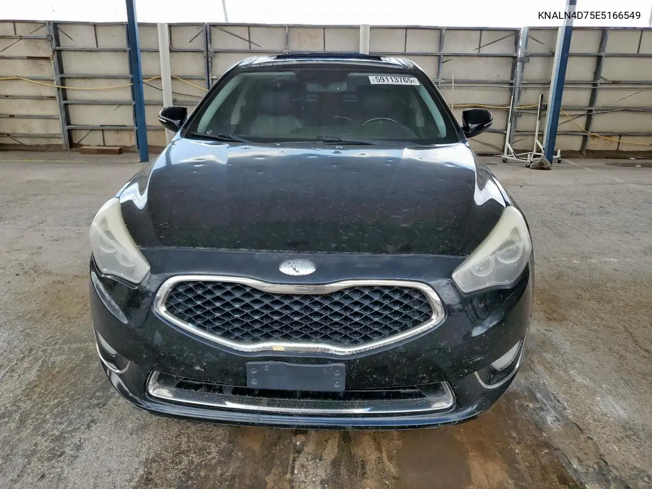 2014 Kia Cadenza Premium VIN: KNALN4D75E5166549 Lot: 59113765