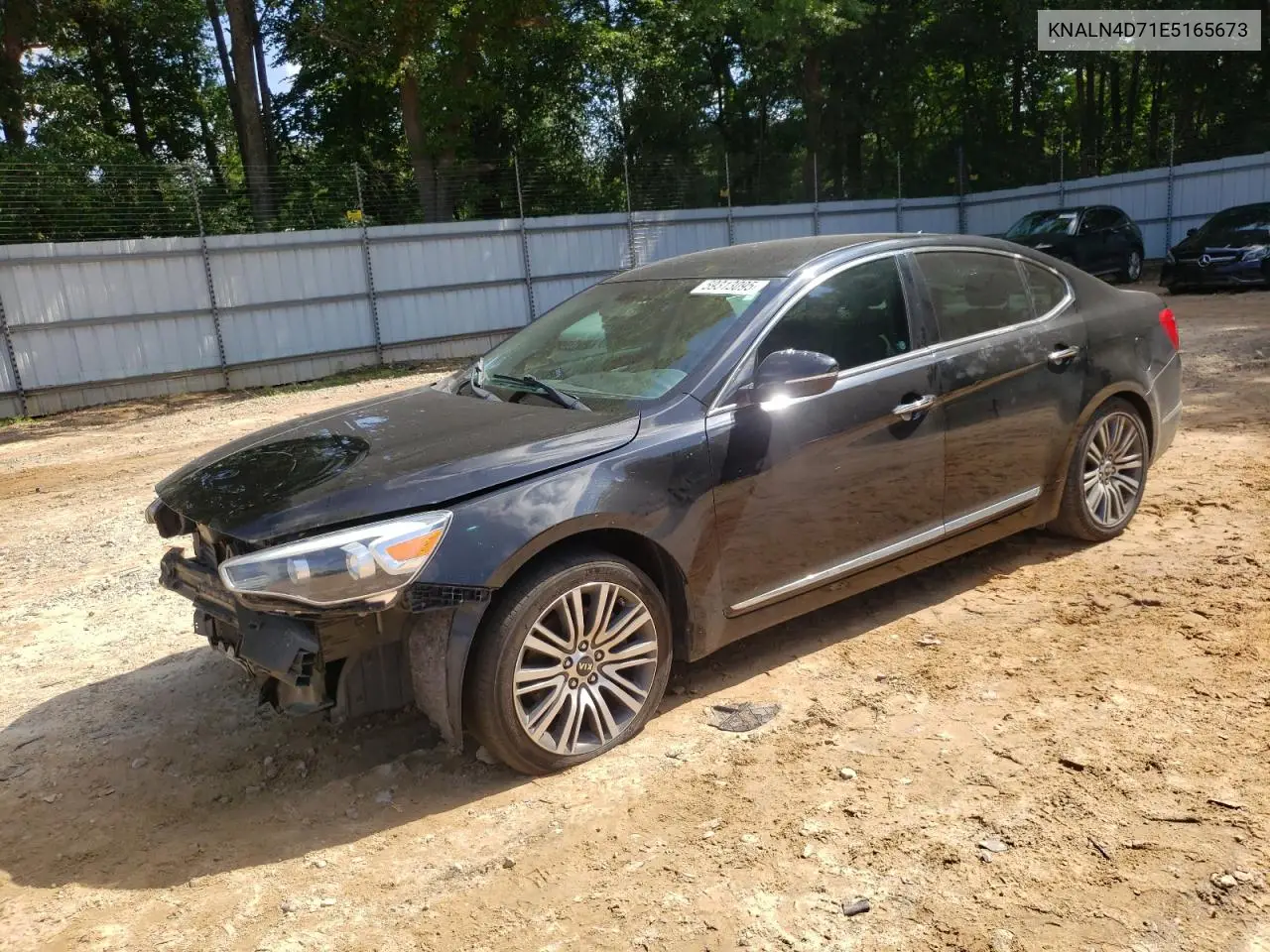2014 Kia Cadenza Premium VIN: KNALN4D71E5165673 Lot: 59313095