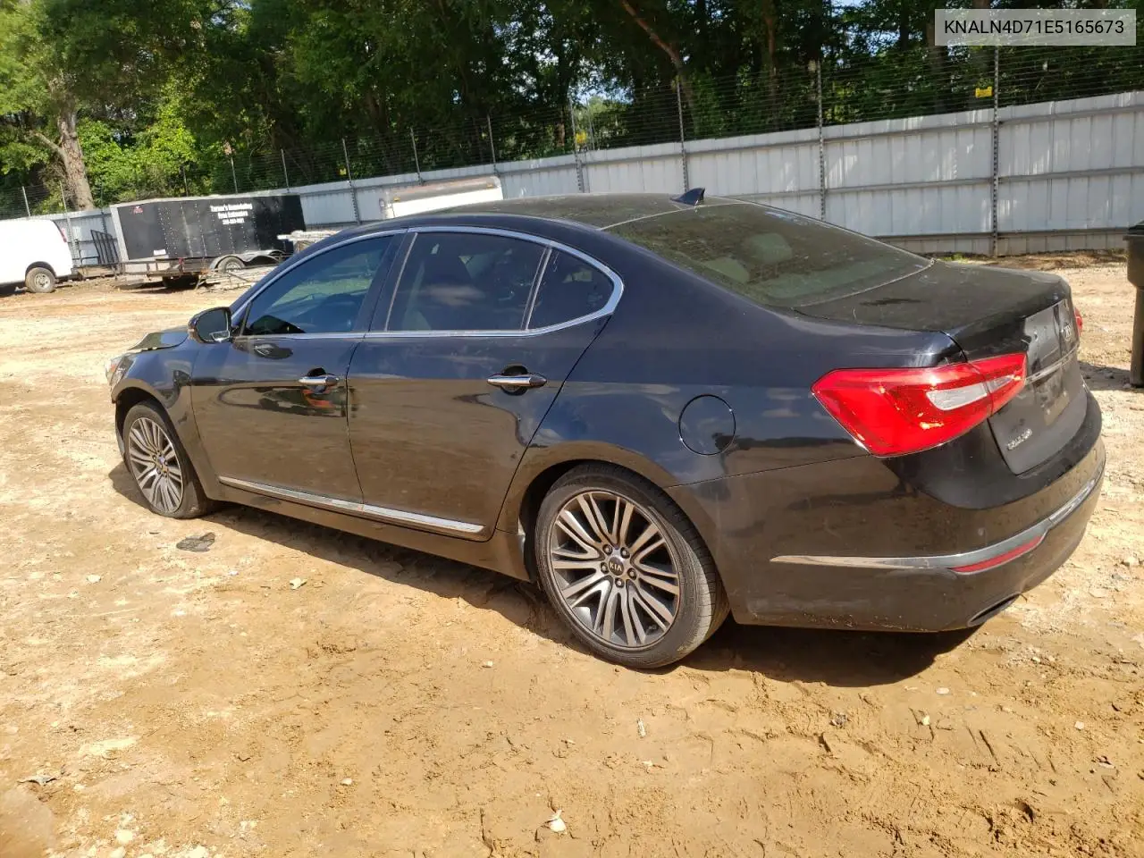 2014 Kia Cadenza Premium VIN: KNALN4D71E5165673 Lot: 59313095