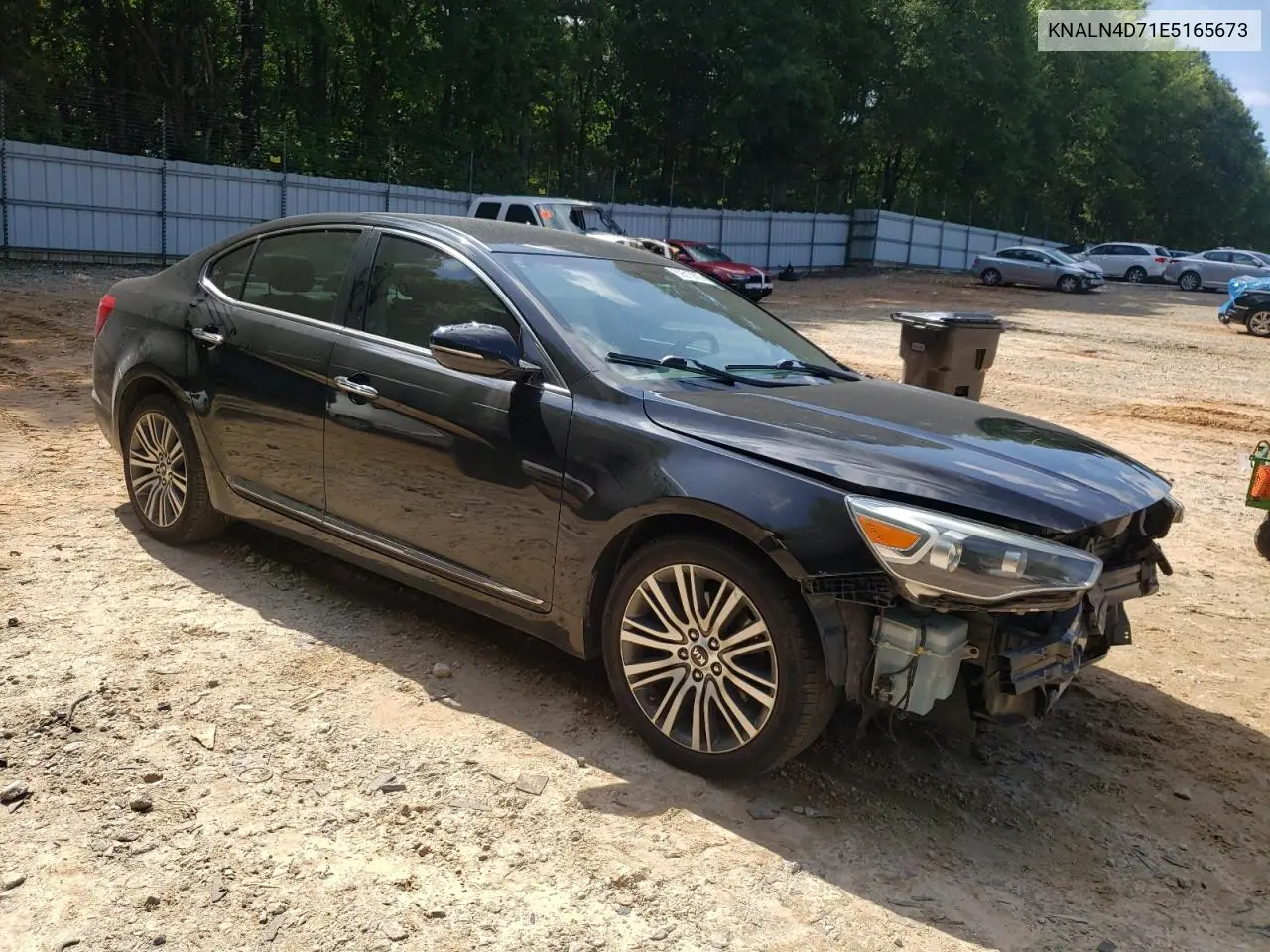 2014 Kia Cadenza Premium VIN: KNALN4D71E5165673 Lot: 59313095
