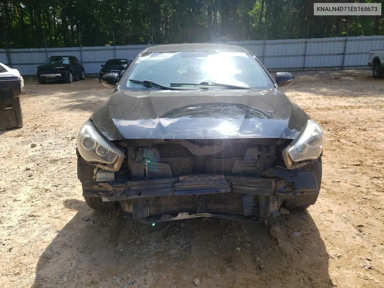 2014 Kia Cadenza Premium VIN: KNALN4D71E5165673 Lot: 59313095