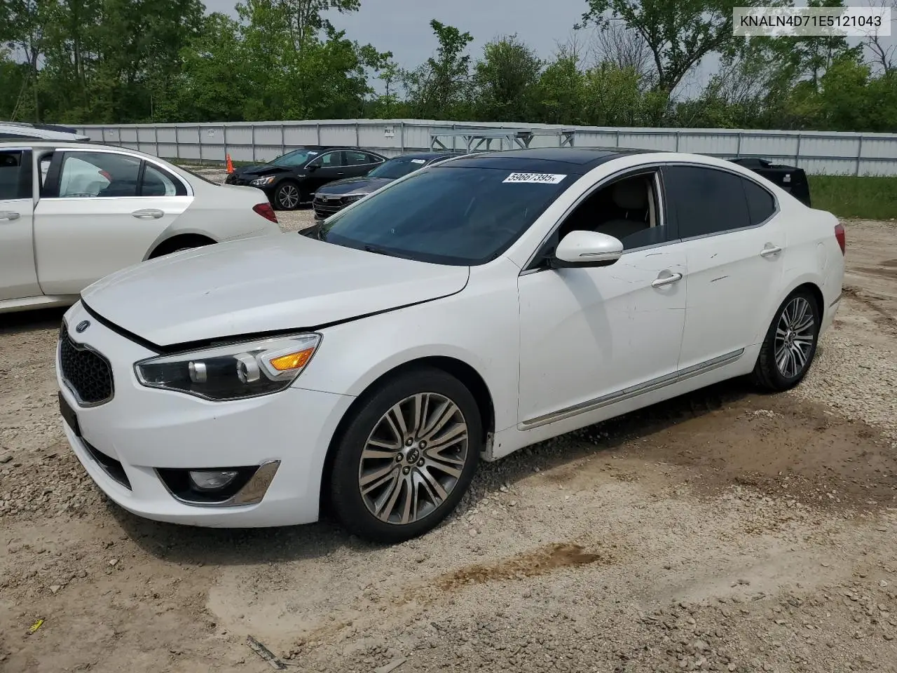 2014 Kia Cadenza Premium VIN: KNALN4D71E5121043 Lot: 59667395