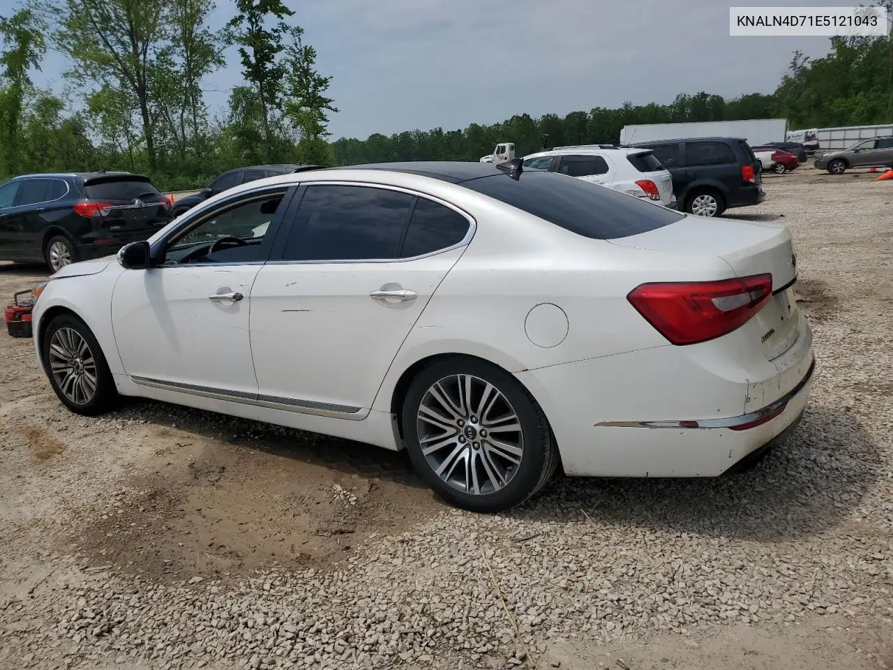 2014 Kia Cadenza Premium VIN: KNALN4D71E5121043 Lot: 59667395