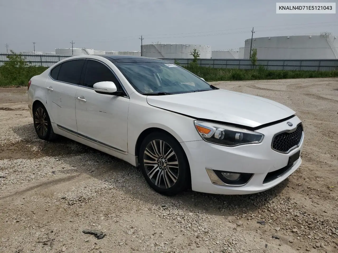 2014 Kia Cadenza Premium VIN: KNALN4D71E5121043 Lot: 59667395