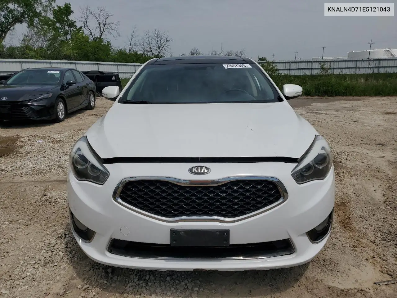 2014 Kia Cadenza Premium VIN: KNALN4D71E5121043 Lot: 59667395