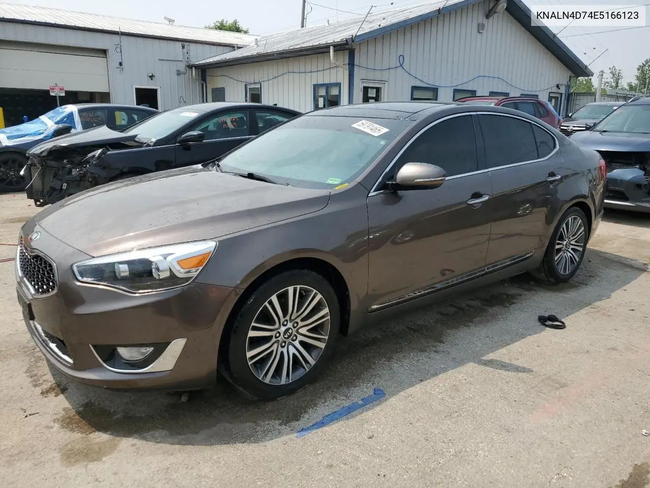 2014 Kia Cadenza Premium VIN: KNALN4D74E5166123 Lot: 59791465