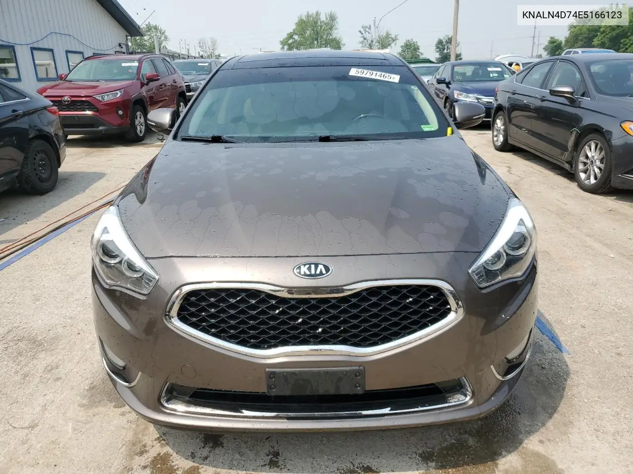 2014 Kia Cadenza Premium VIN: KNALN4D74E5166123 Lot: 59791465