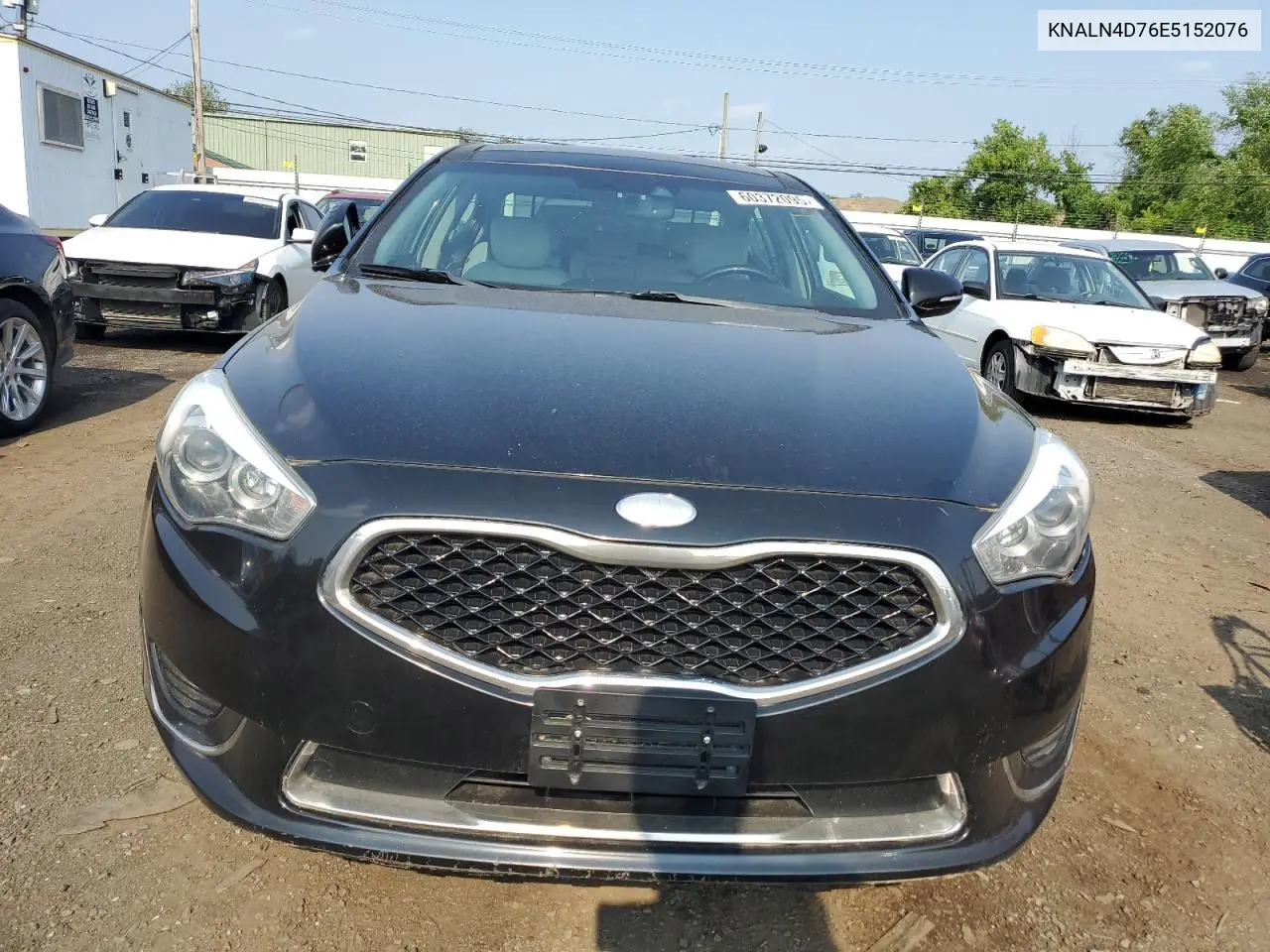 2014 Kia Cadenza Premium VIN: KNALN4D76E5152076 Lot: 60372095