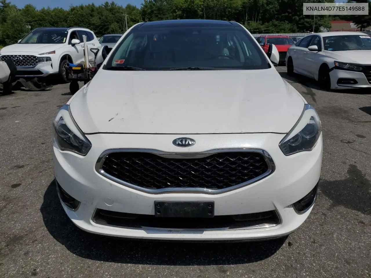 2014 Kia Cadenza Premium VIN: KNALN4D77E5149588 Lot: 60653165