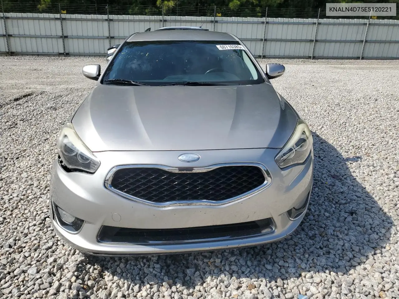 2014 Kia Cadenza Premium VIN: KNALN4D75E5120221 Lot: 60710385