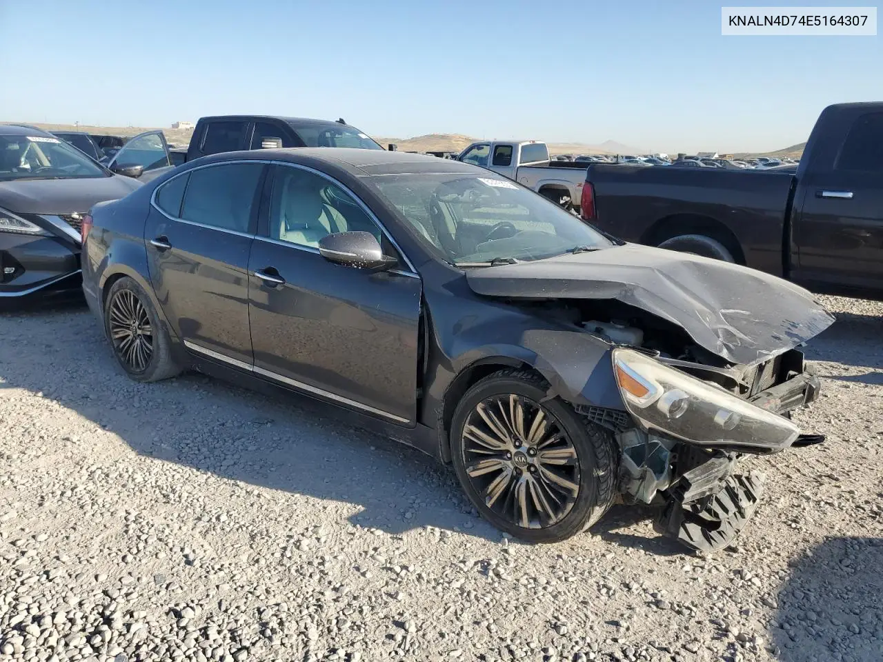 2014 Kia Cadenza Premium VIN: KNALN4D74E5164307 Lot: 61476335