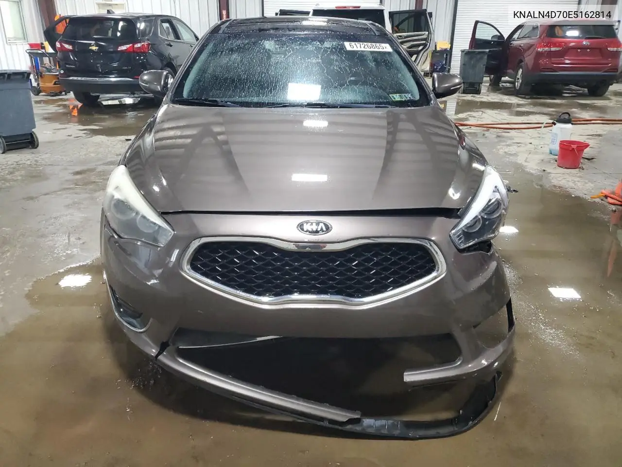 2014 Kia Cadenza Premium VIN: KNALN4D70E5162814 Lot: 61726865