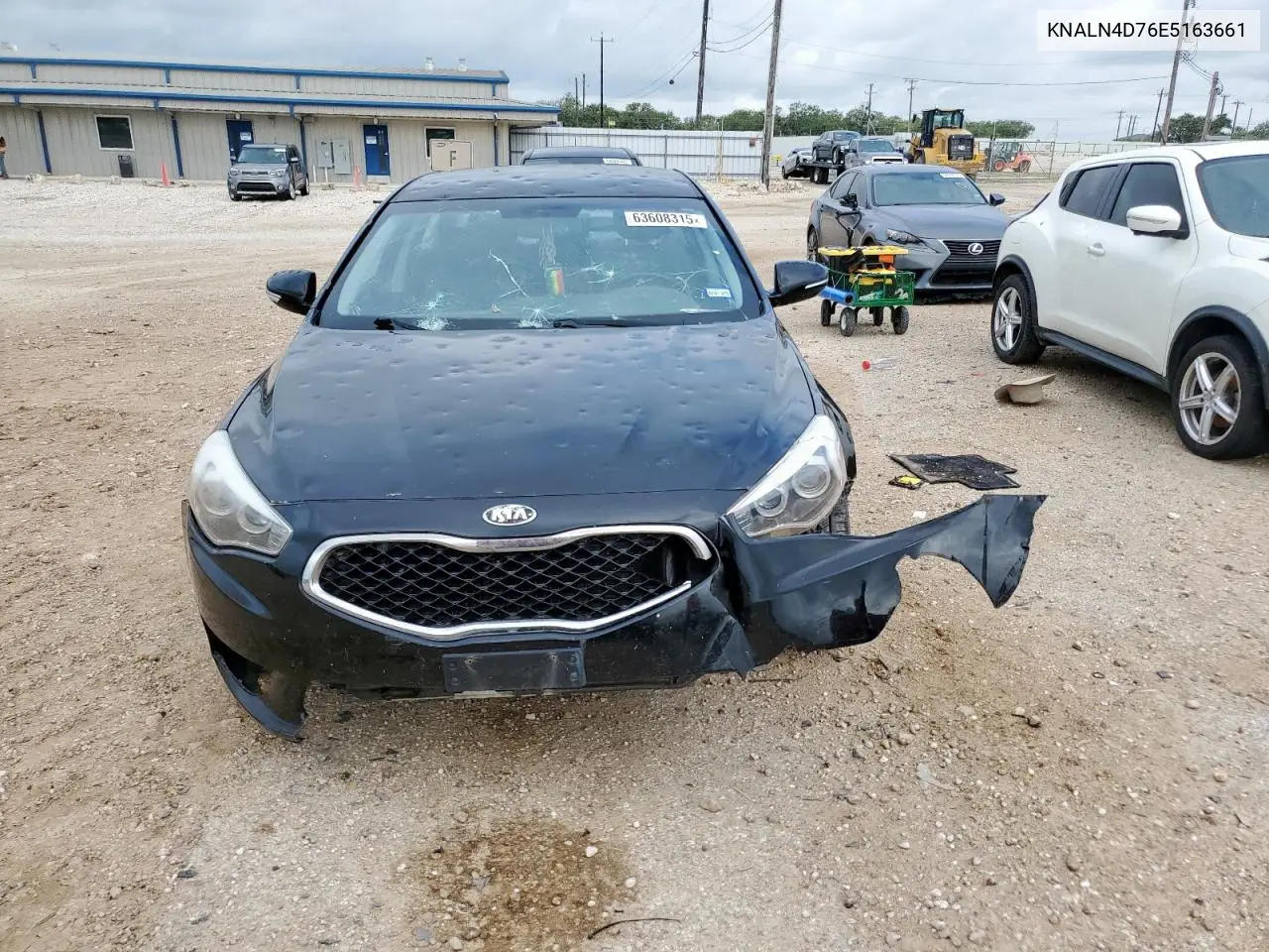 2014 Kia Cadenza Premium VIN: KNALN4D76E5163661 Lot: 63608315