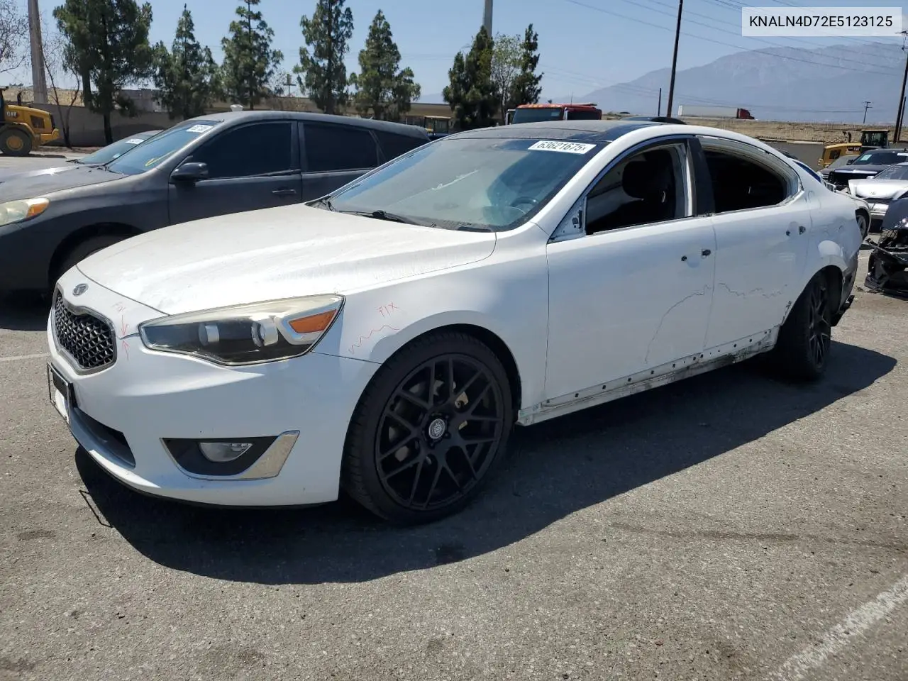 2014 Kia Cadenza Premium VIN: KNALN4D72E5123125 Lot: 63621675