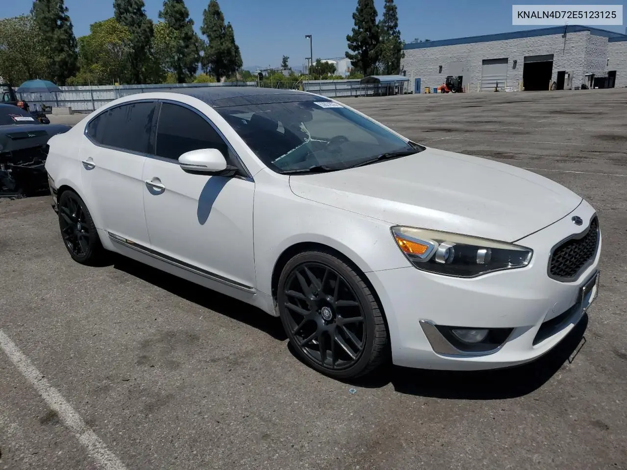 2014 Kia Cadenza Premium VIN: KNALN4D72E5123125 Lot: 63621675