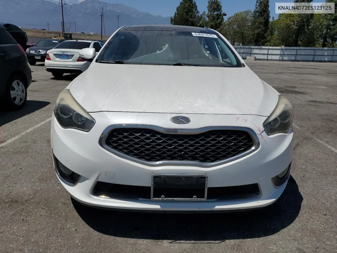 2014 Kia Cadenza Premium VIN: KNALN4D72E5123125 Lot: 63621675