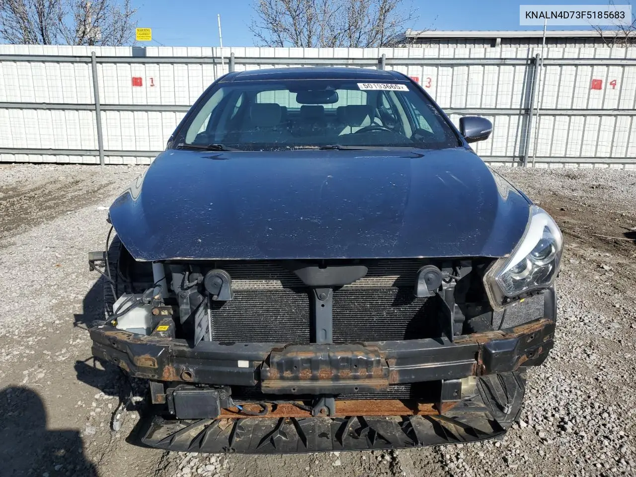 2015 Kia Cadenza Premium VIN: KNALN4D73F5185683 Lot: 50193665