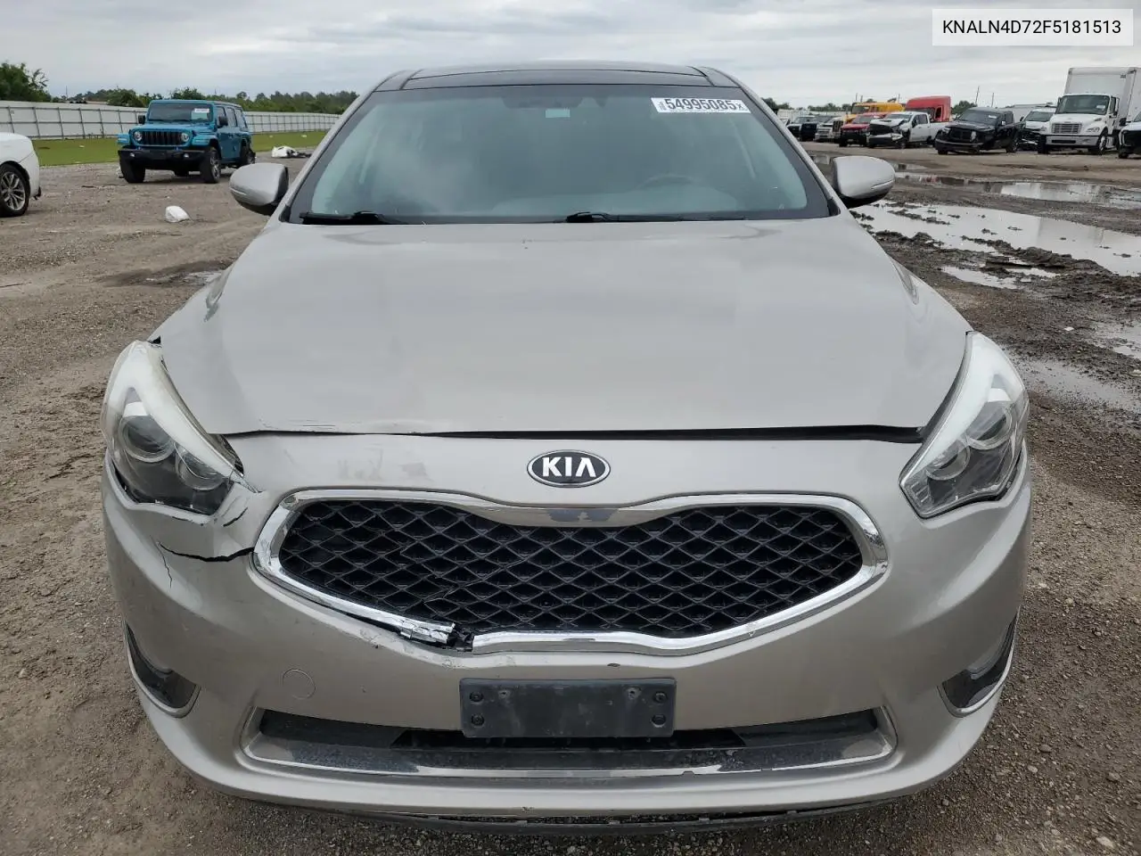 2015 Kia Cadenza Premium VIN: KNALN4D72F5181513 Lot: 54995085