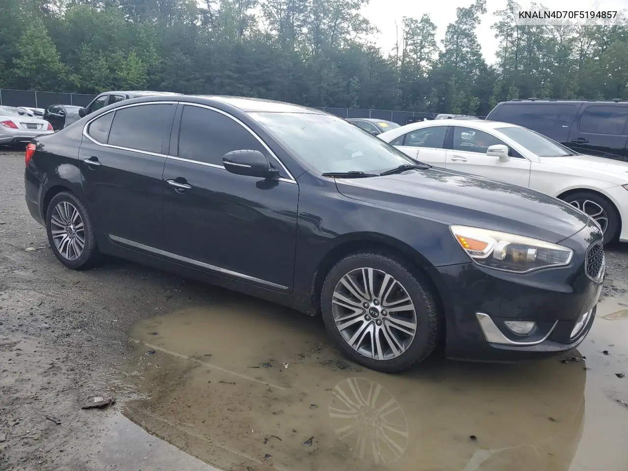 2015 Kia Cadenza Premium VIN: KNALN4D70F5194857 Lot: 56037895
