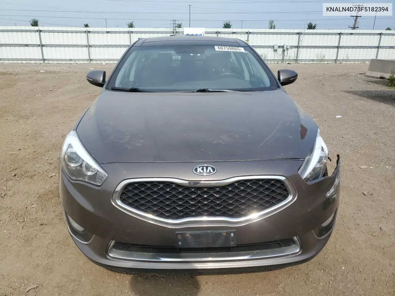 2015 Kia Cadenza Premium VIN: KNALN4D73F5182394 Lot: 60759865