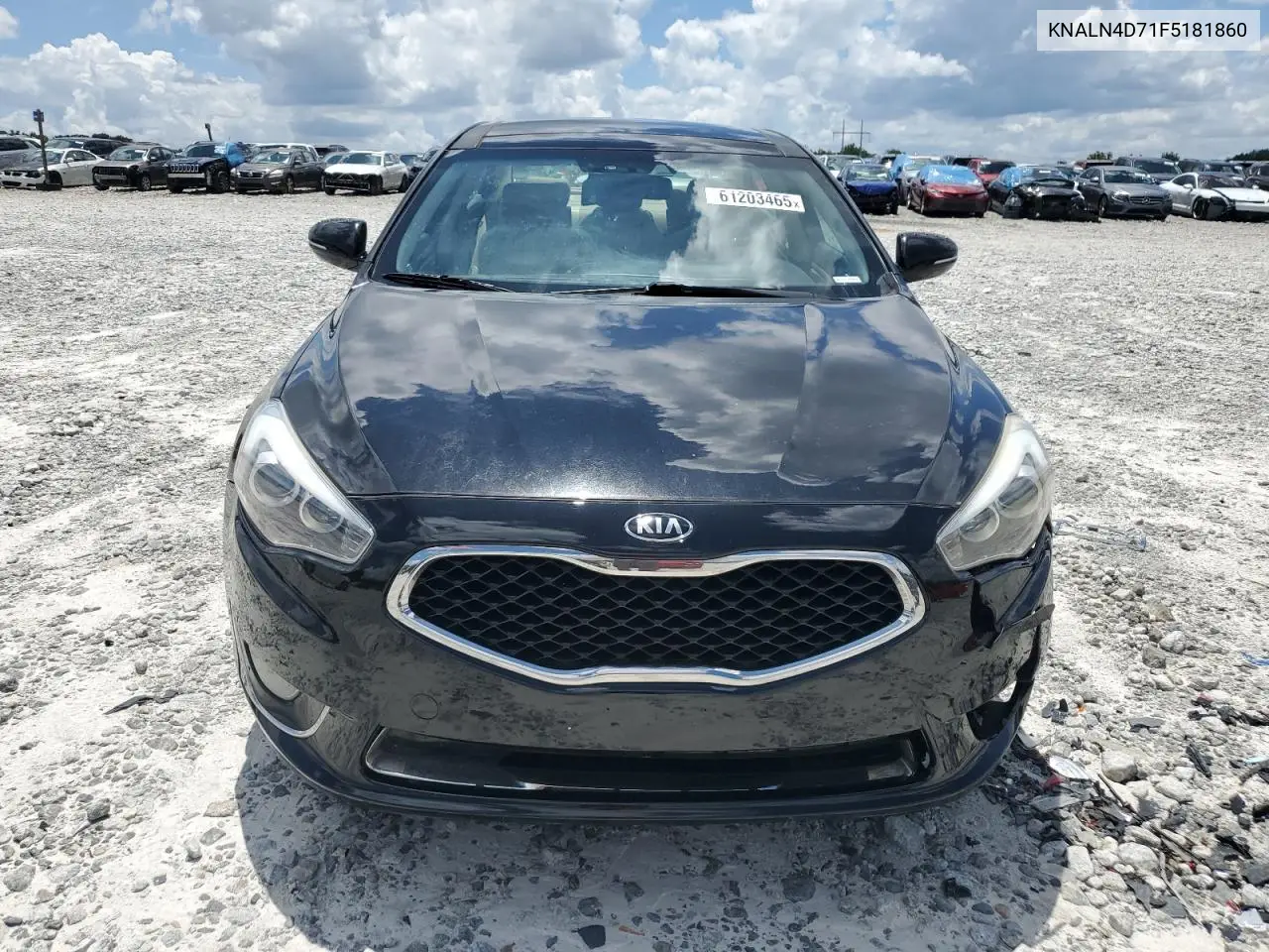 2015 Kia Cadenza Premium VIN: KNALN4D71F5181860 Lot: 61203465
