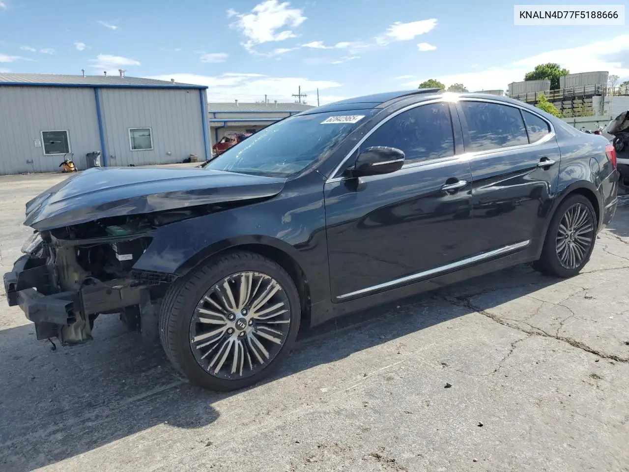 2015 Kia Cadenza Premium VIN: KNALN4D77F5188666 Lot: 62842965