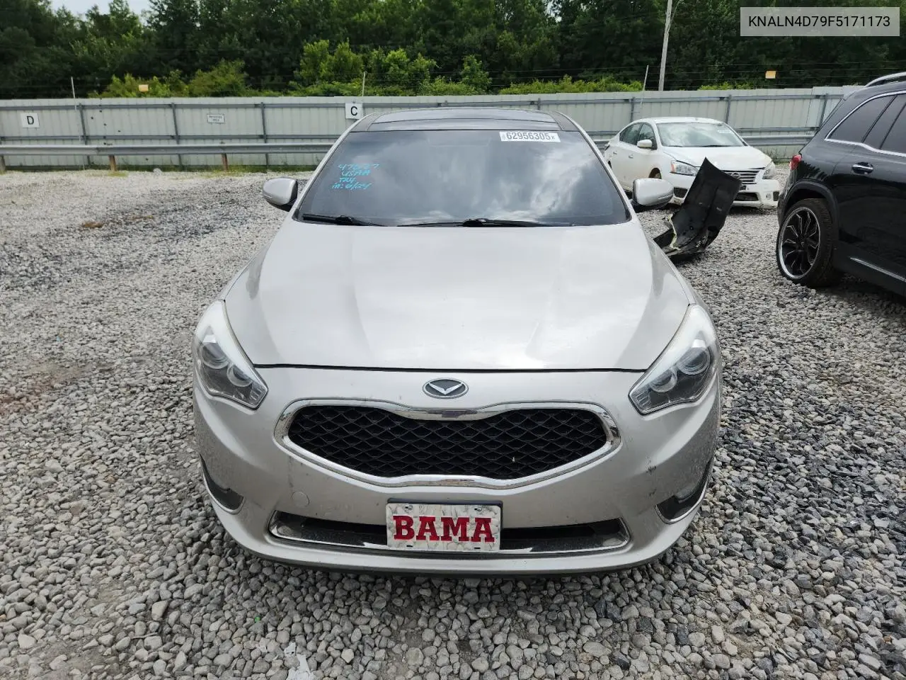 2015 Kia Cadenza Premium VIN: KNALN4D79F5171173 Lot: 62956305