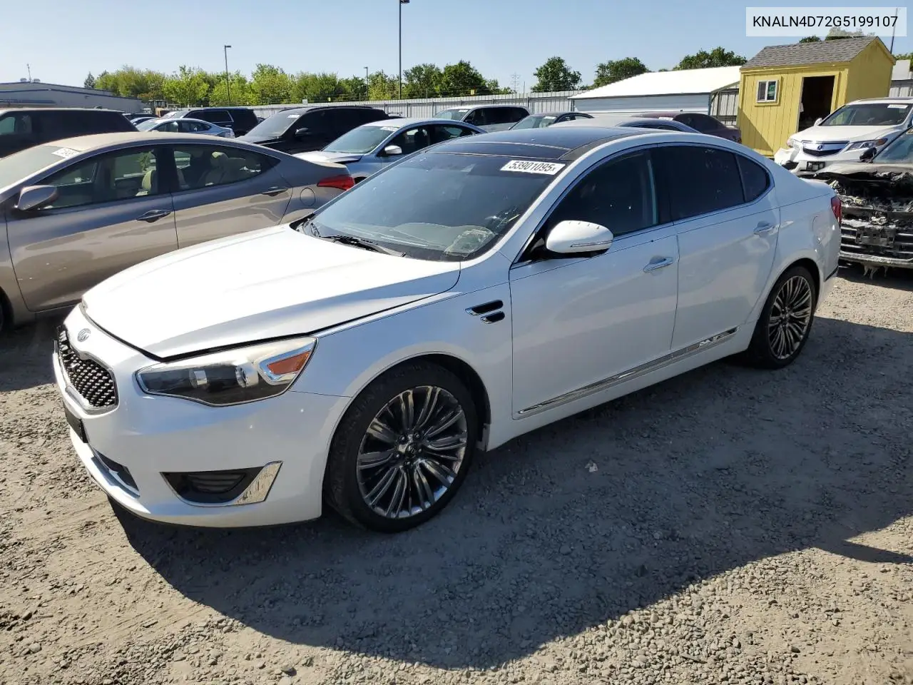 2016 Kia Cadenza Luxury VIN: KNALN4D72G5199107 Lot: 53901095
