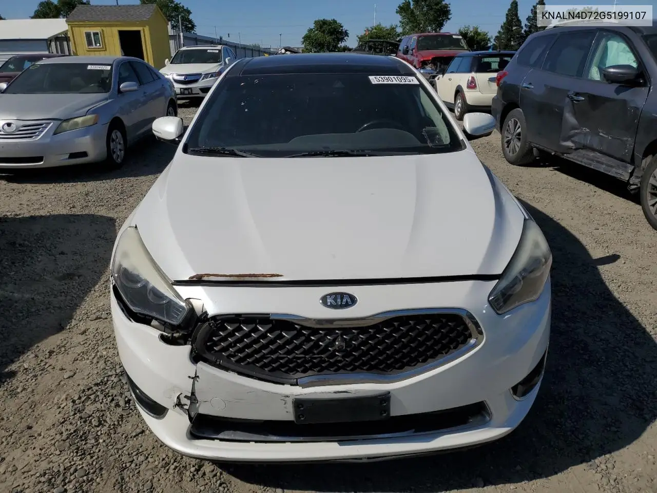 2016 Kia Cadenza Luxury VIN: KNALN4D72G5199107 Lot: 53901095
