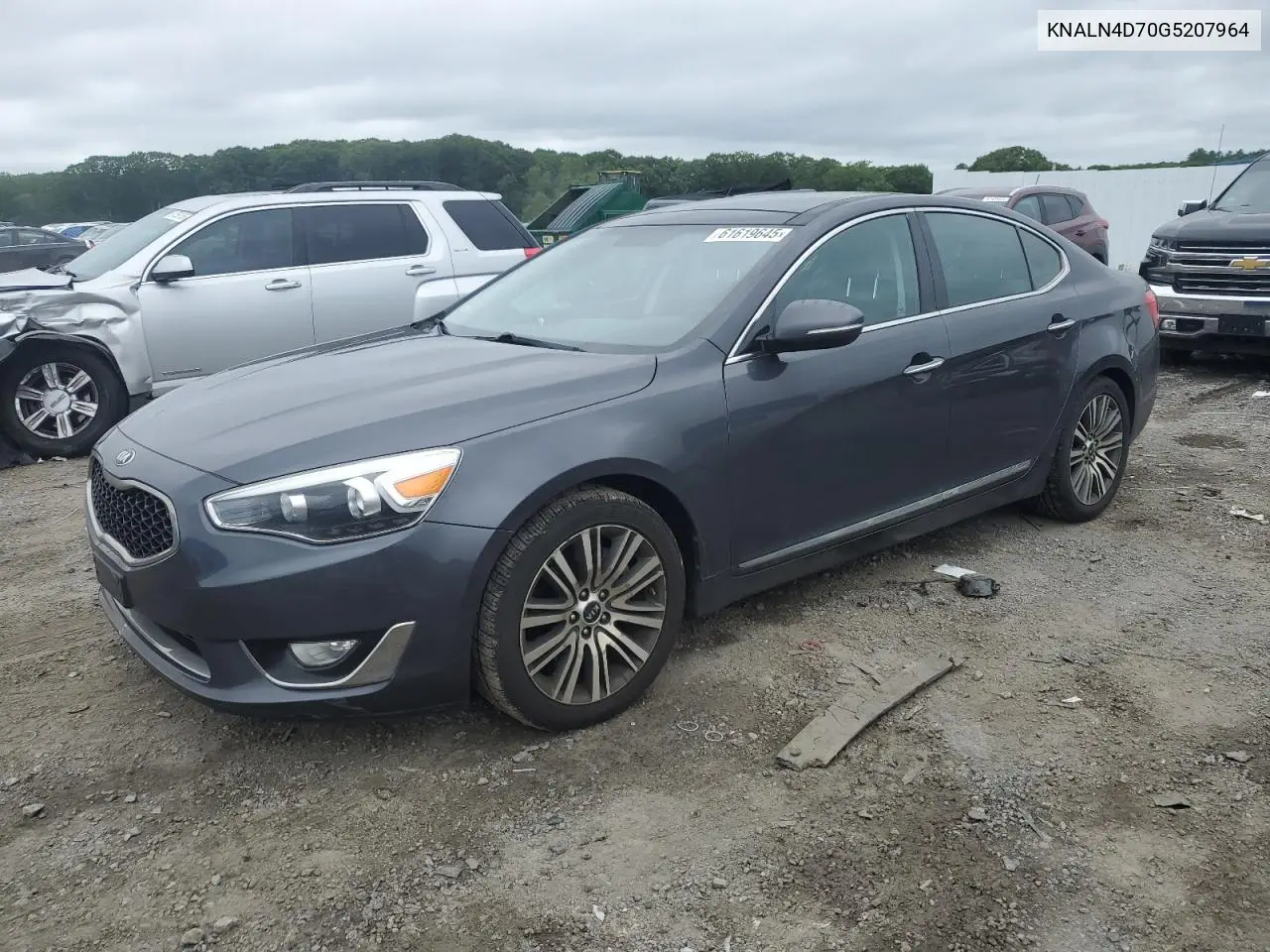 2016 Kia Cadenza Luxury VIN: KNALN4D70G5207964 Lot: 61619645