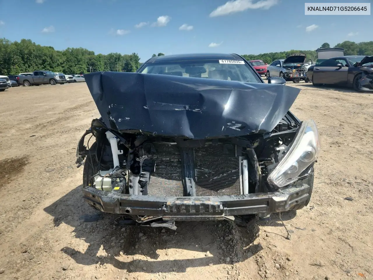 2016 Kia Cadenza Luxury VIN: KNALN4D71G5206645 Lot: 61785935
