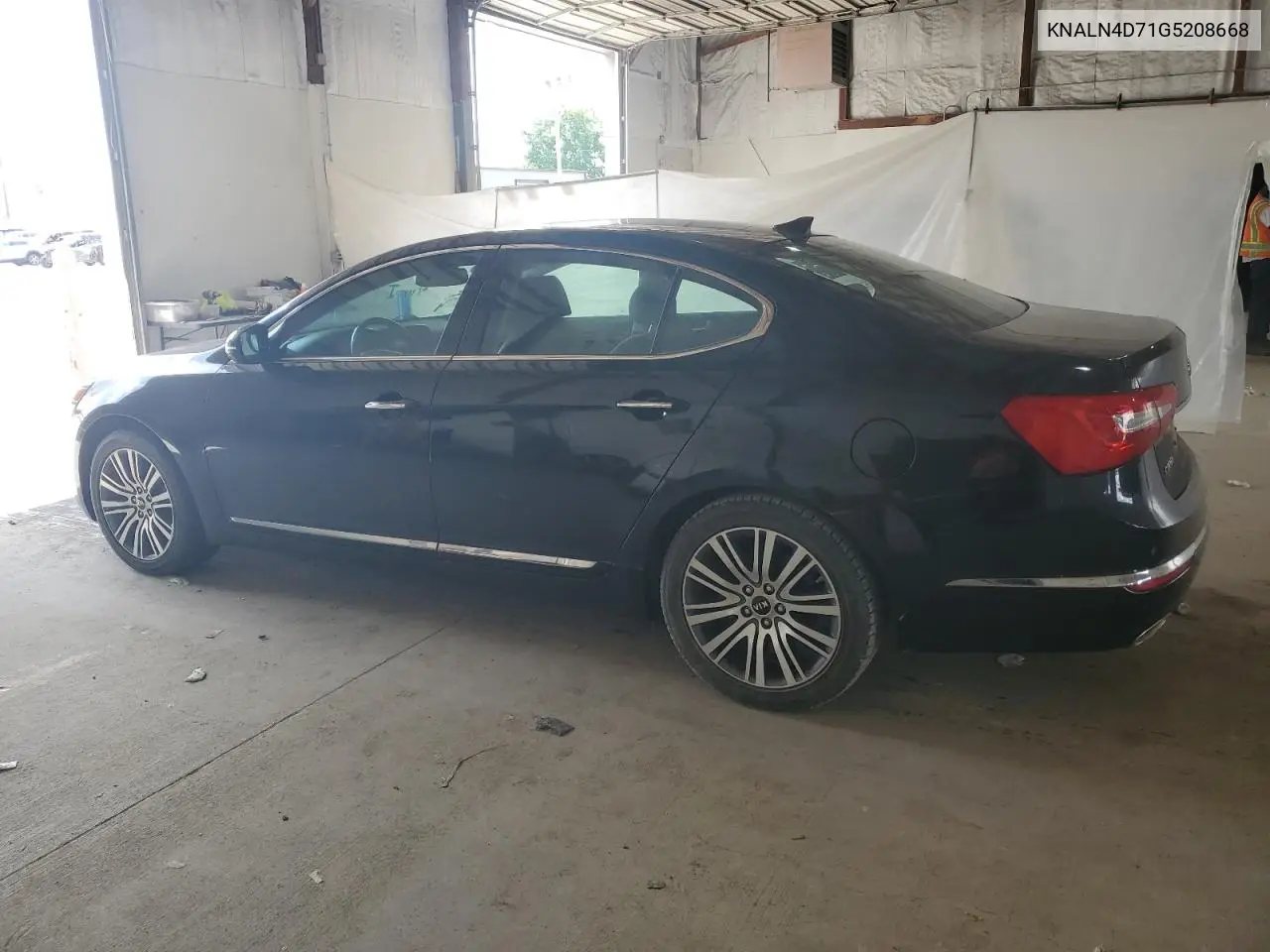 2016 Kia Cadenza Luxury VIN: KNALN4D71G5208668 Lot: 63841095