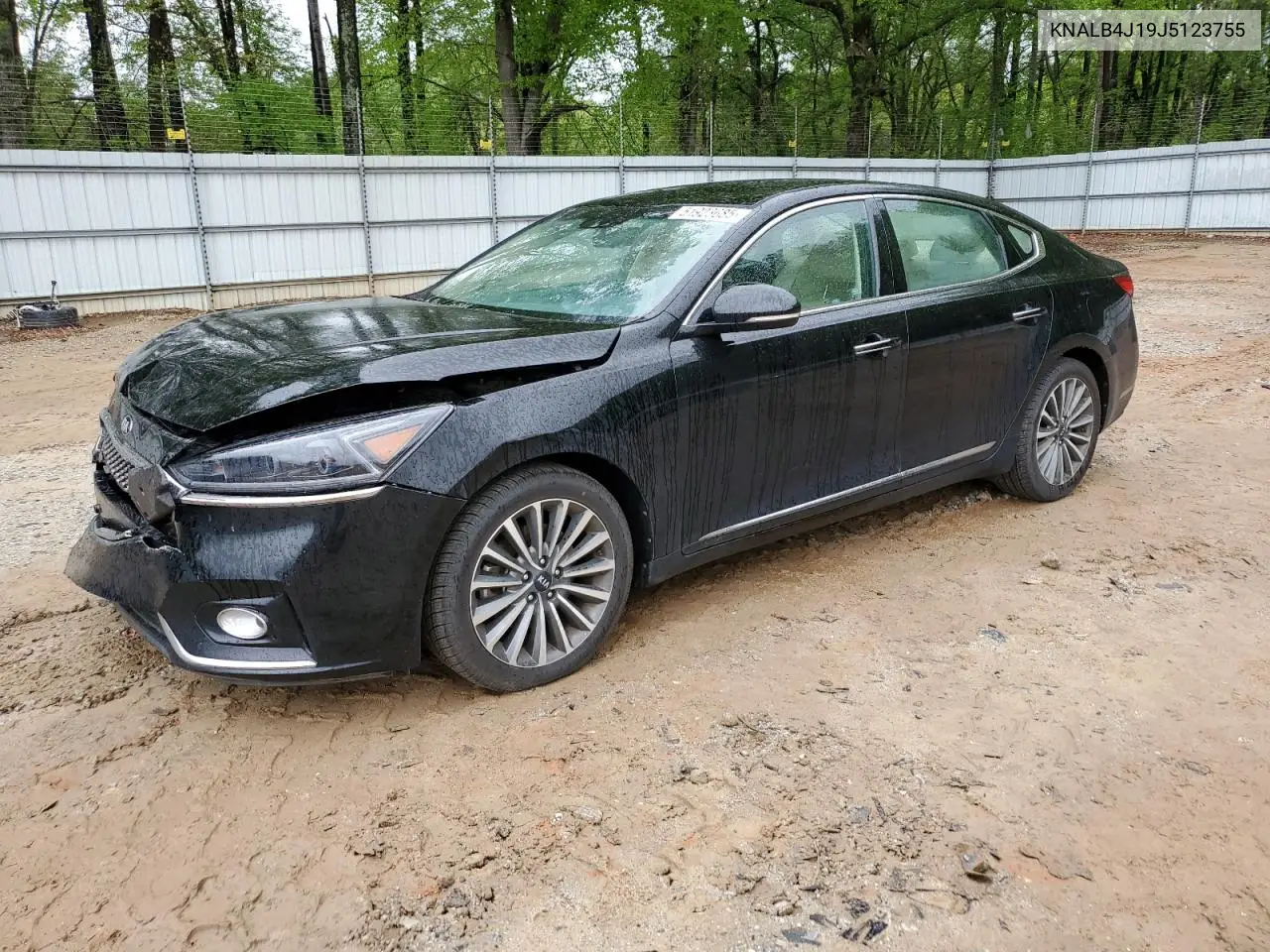 2018 Kia Cadenza Premium VIN: KNALB4J19J5123755 Lot: 51923685