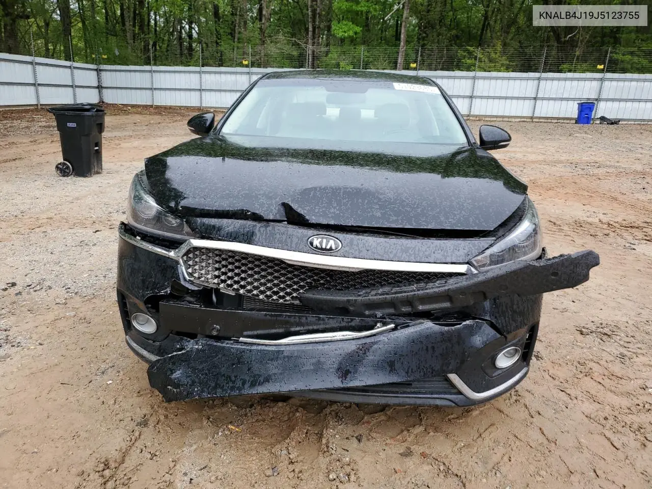 2018 Kia Cadenza Premium VIN: KNALB4J19J5123755 Lot: 51923685