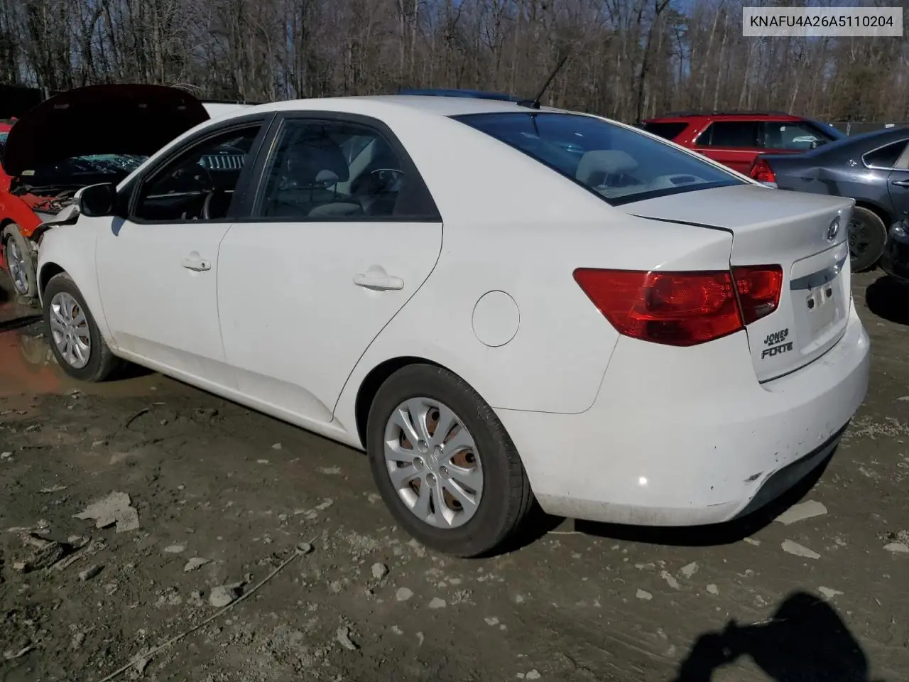 2010 Kia Forte Ex VIN: KNAFU4A26A5110204 Lot: 44416055