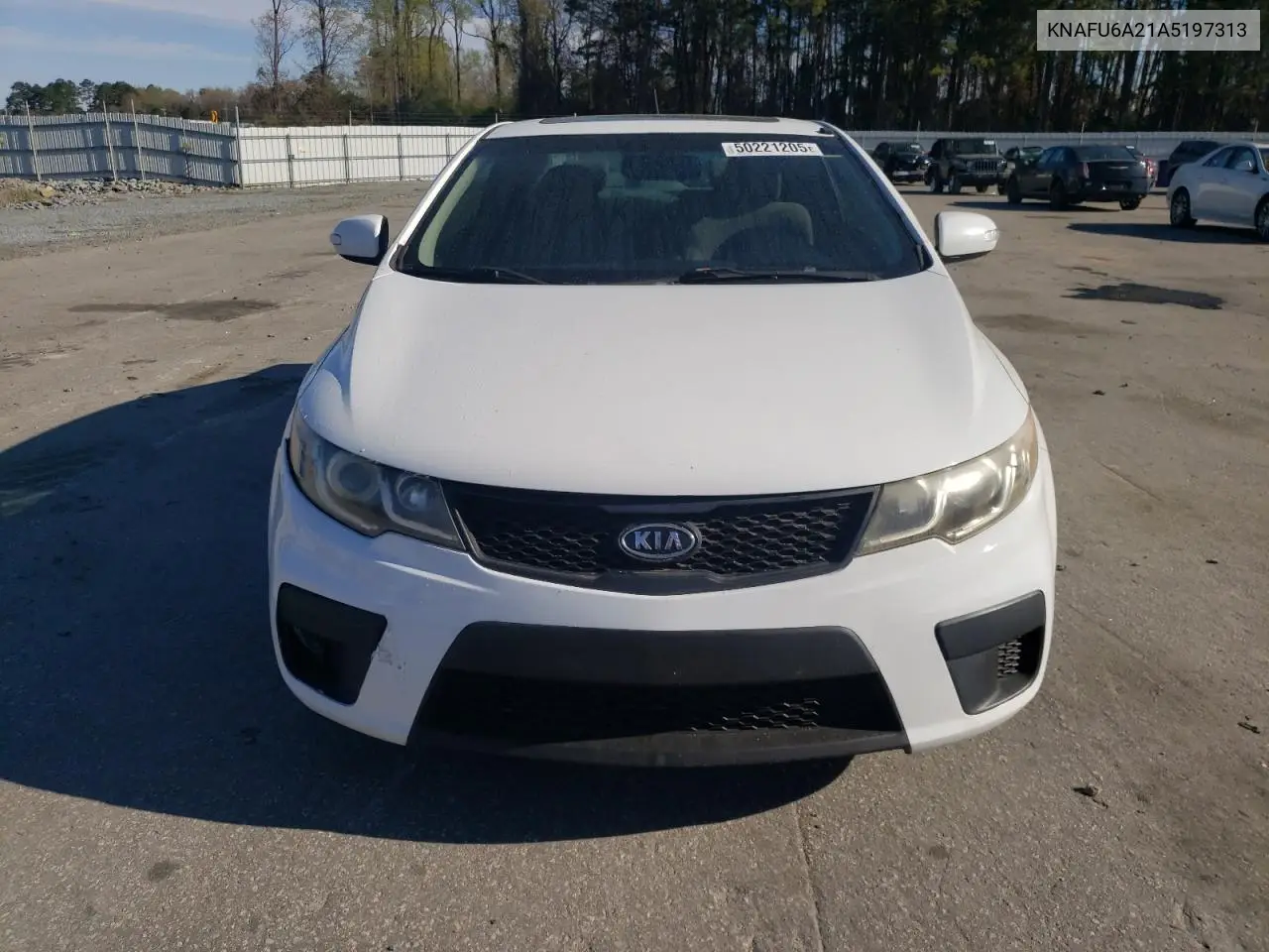 2010 Kia Forte Ex VIN: KNAFU6A21A5197313 Lot: 50221205