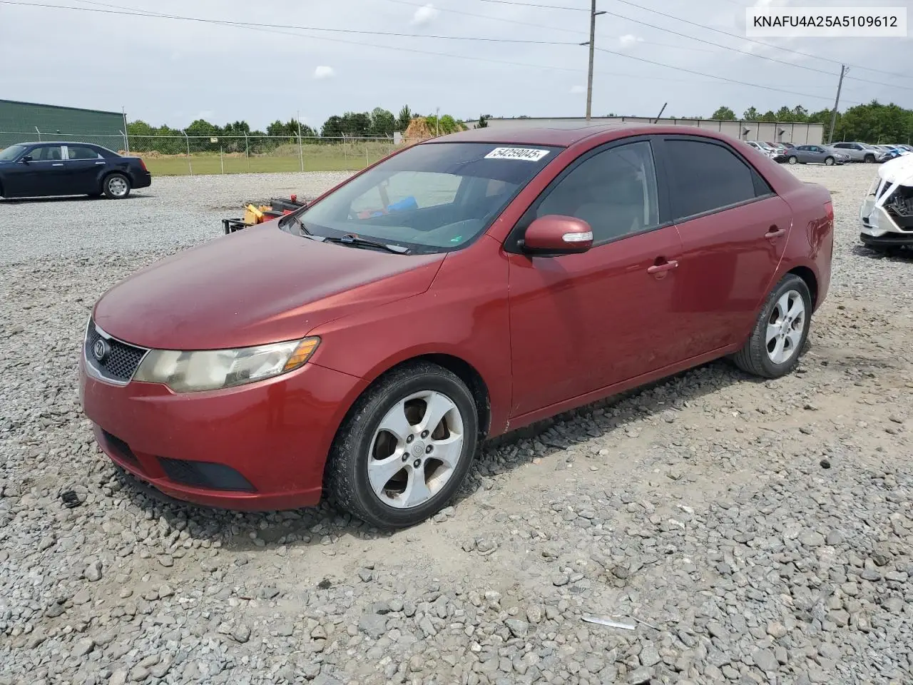 2010 Kia Forte Ex VIN: KNAFU4A25A5109612 Lot: 54259045