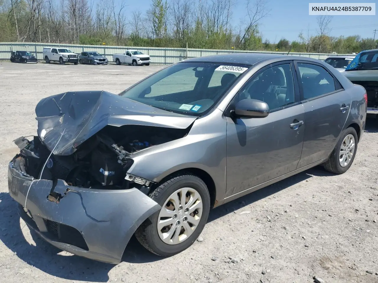 2011 Kia Forte Ex VIN: KNAFU4A24B5387709 Lot: 56406395